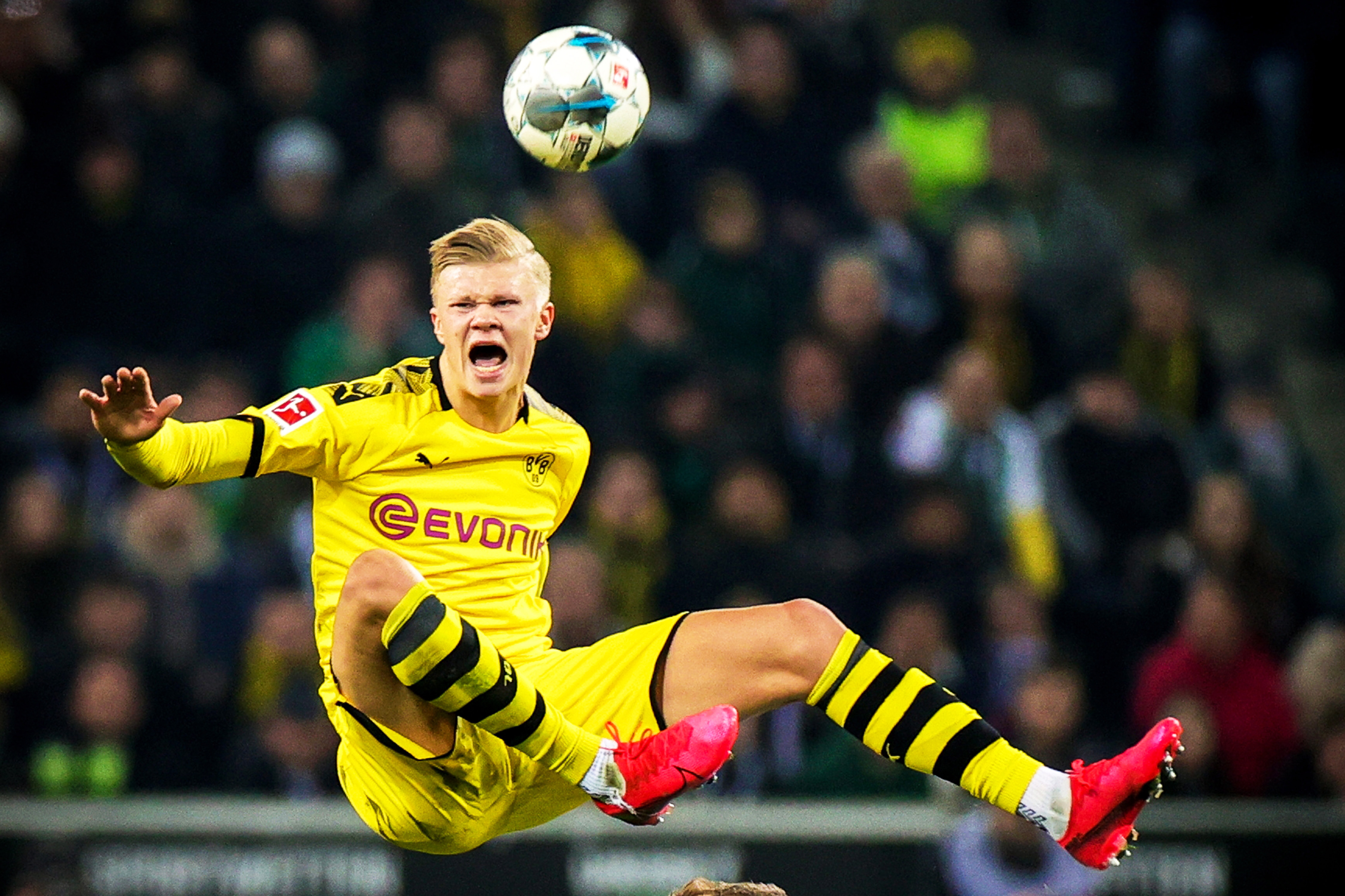 南粤健儿竞风流 湾区盛会谱新章