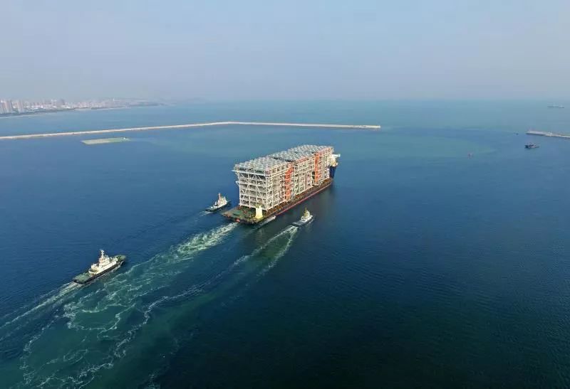 UFC2025最佳首秀候选萨尔基尔德一拳KO朱伯利，将战茸主